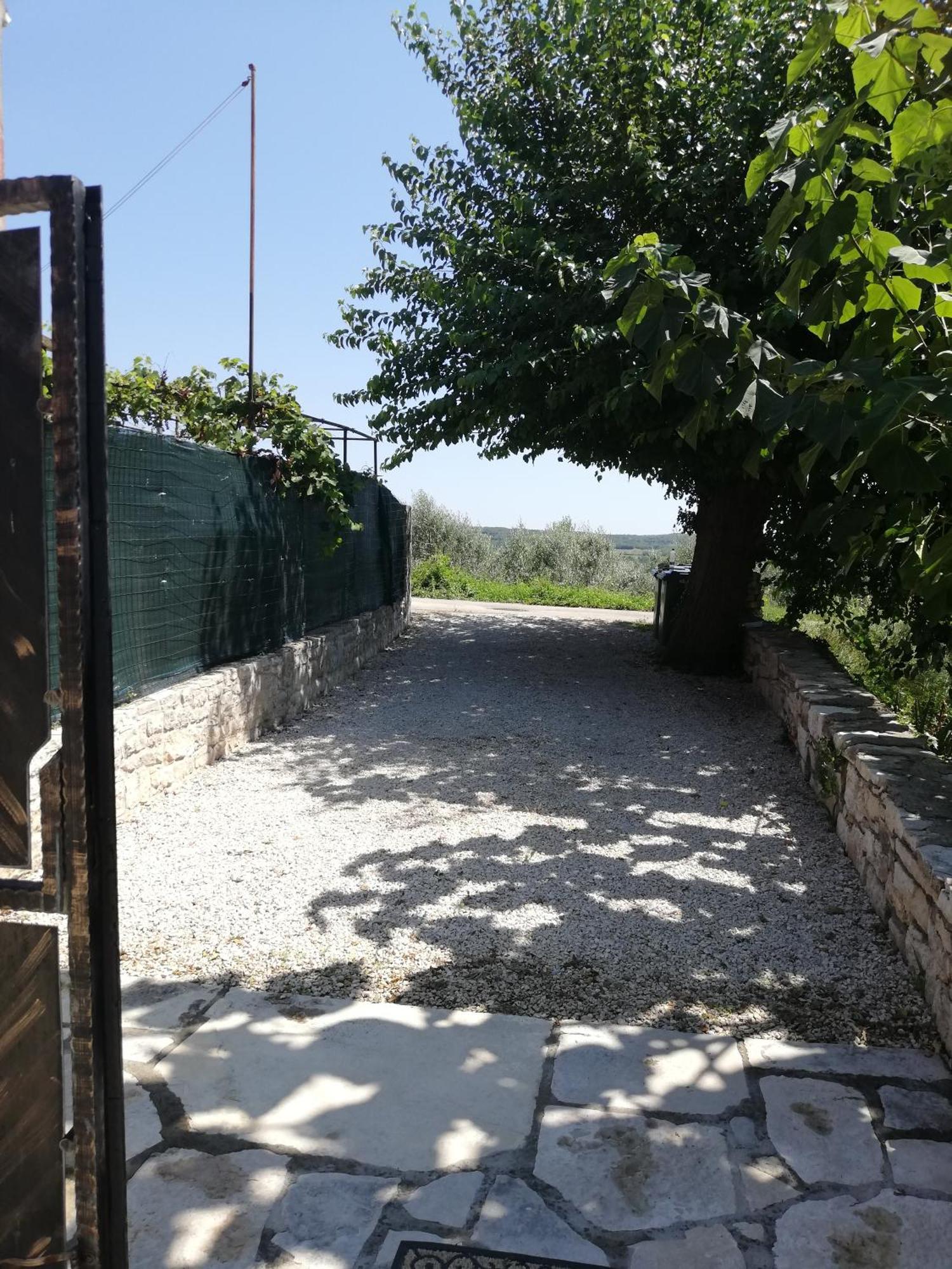 Lory Villa Sveti Lovrec Pazenaticki ภายนอก รูปภาพ